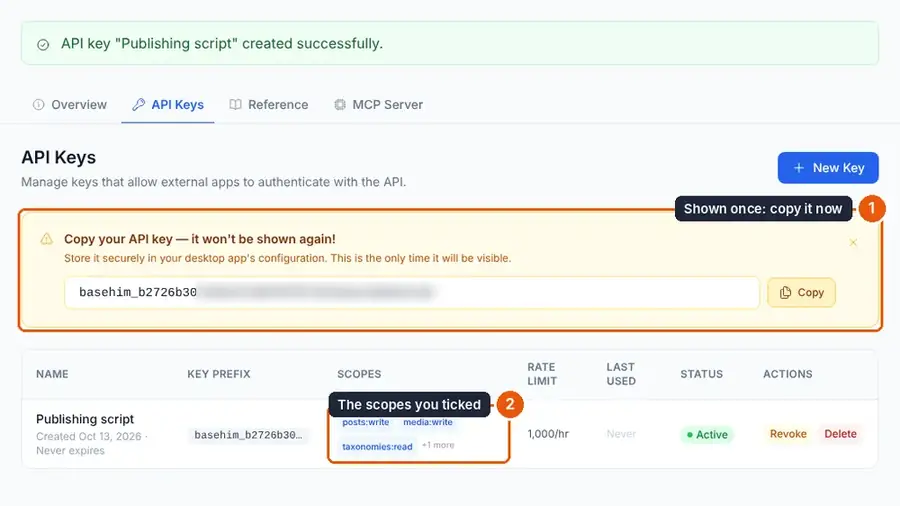 A new API key shown once, and the key's scopes in the list below